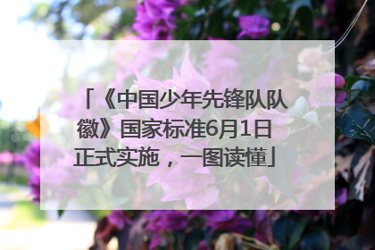 《中国少年先锋队队徽》国家标准6月1日正式实施，一图读懂