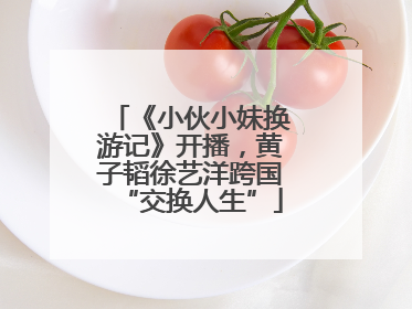 《小伙小妹换游记》开播，黄子韬徐艺洋跨国“交换人生”