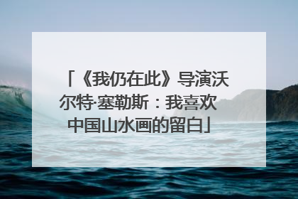 《我仍在此》导演沃尔特·塞勒斯：我喜欢中国山水画的留白