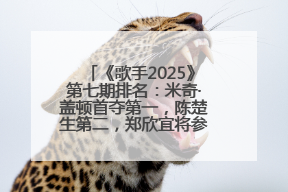 《歌手2025》第七期排名：米奇·盖顿首夺第一，陈楚生第二，郑欣宜将参加下一轮张榜赛