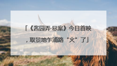 《酱园弄·悬案》今日首映，取景地乍浦路“火”了