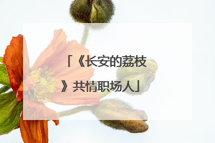 《长安的荔枝》共情职场人