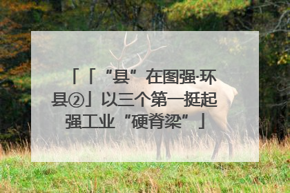 「“县”在图强·环县②」以三个第一挺起强工业“硬脊梁”