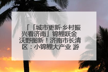 「城市更新·乡村振兴看济南」锦鲤跃金 沃野图新！济南市长清区：小锦鲤大产业 游出农旅新风景