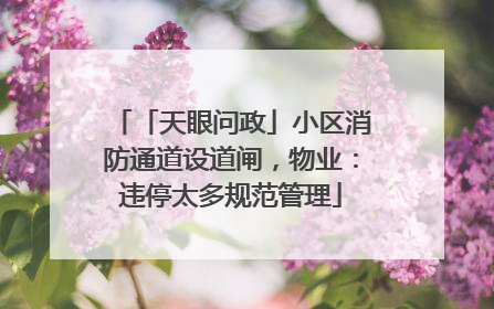 「天眼问政」小区消防通道设道闸，物业：违停太多规范管理