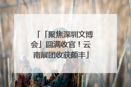 「聚焦深圳文博会」圆满收官！云南展团收获颇丰