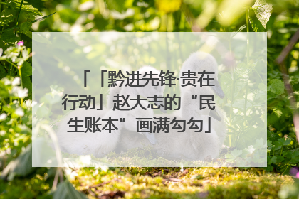「黔进先锋·贵在行动」赵大志的“民生账本”画满勾勾