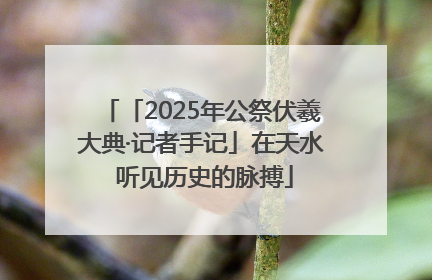 「2025年公祭伏羲大典·记者手记」在天水 听见历史的脉搏