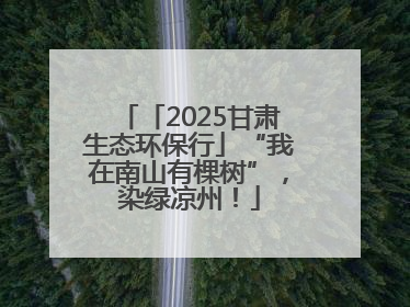 「2025甘肃生态环保行」“我在南山有棵树”，染绿凉州！
