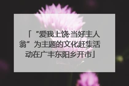 “爱我上饶·当好主人翁”为主题的文化赶集活动在广丰东阳乡开市