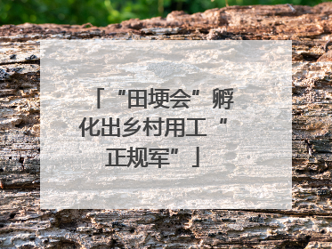 “田埂会”孵化出乡村用工“正规军”