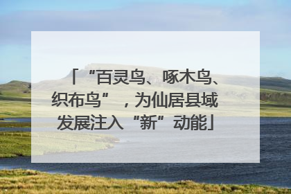 “百灵鸟、啄木鸟、织布鸟”，为仙居县域发展注入“新”动能