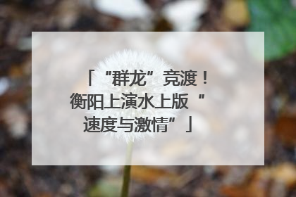 “群龙”竞渡！衡阳上演水上版“速度与激情”
