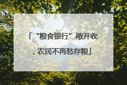“粮食银行”敞开收，农民不再愁存粮