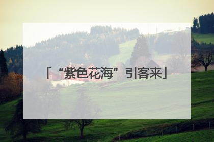 “紫色花海”引客来