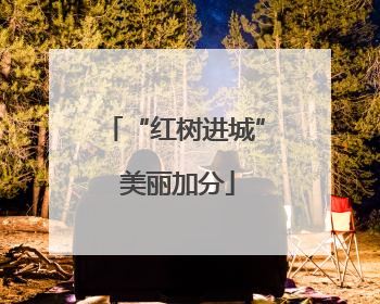 “红树进城” 美丽加分