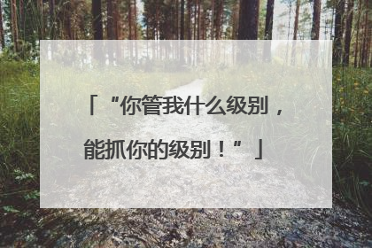 “你管我什么级别，能抓你的级别！”