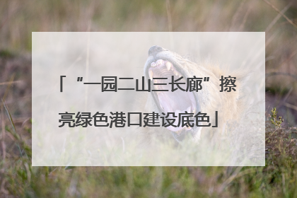 “一园二山三长廊”擦亮绿色港口建设底色