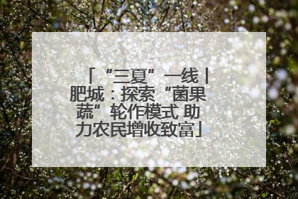 “三夏”一线丨肥城：探索“菌果蔬”轮作模式 助力农民增收致富