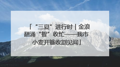 “三夏”进行时｜金浪翻涌“智”收忙——我市小麦开镰收割见闻