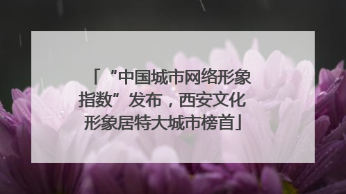 “中国城市网络形象指数”发布，西安文化形象居特大城市榜首