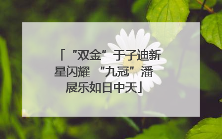 “双金”于子迪新星闪耀 “九冠”潘展乐如日中天