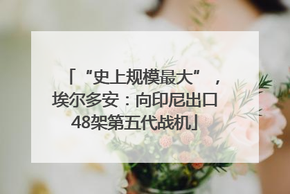 “史上规模最大”，埃尔多安：向印尼出口48架第五代战机