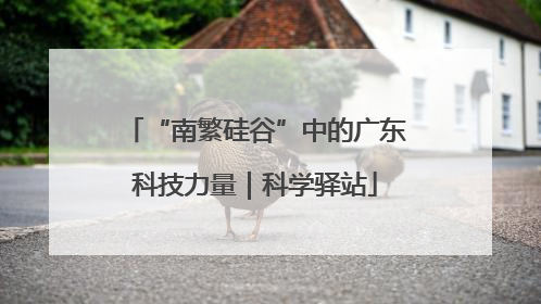 “南繁硅谷”中的广东科技力量｜科学驿站