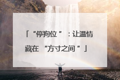 “停狗位 ”:让温情藏在 “方寸之间 ”