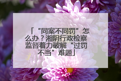 “同案不同罚”怎么办？湘阴行政检察监督着力破解“过罚不当”难题