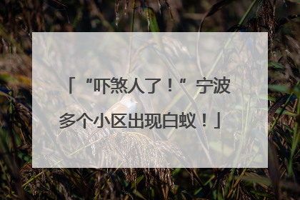 “吓煞人了！”宁波多个小区出现白蚁！