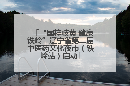 “国粹岐黄 健康铁岭”辽宁省第二届中医药文化夜市（铁岭站）启动
