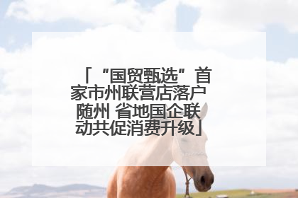 “国贸甄选”首家市州联营店落户随州 省地国企联动共促消费升级