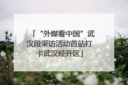 “外媒看中国”武汉段采访活动首站打卡武汉经开区