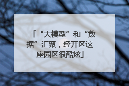 “大模型”和“数据”汇聚，经开区这座园区很酷炫