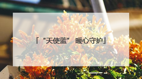 “天使蓝” 暖心守护