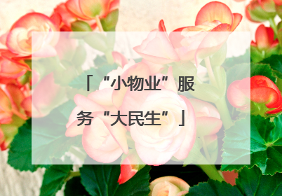 “小物业”服务“大民生”
