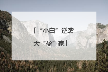 “小白”逆袭大“盈”家