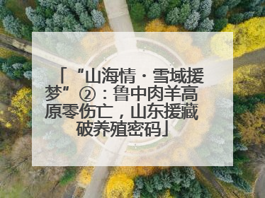 “山海情・雪域援梦”②：鲁中肉羊高原零伤亡，山东援藏破养殖密码