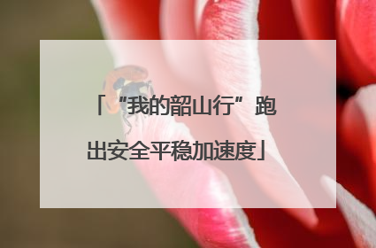 “我的韶山行”跑出安全平稳加速度