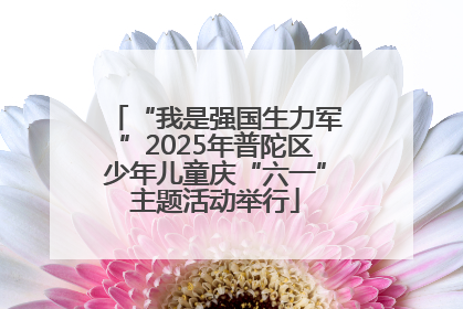 “我是强国生力军”2025年普陀区少年儿童庆“六一”主题活动举行
