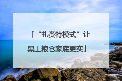 “扎赉特模式”让黑土粮仓家底更实