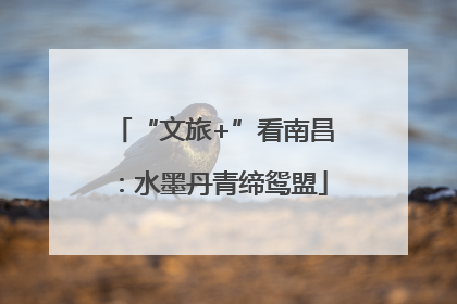 “文旅+”看南昌：水墨丹青缔鸳盟