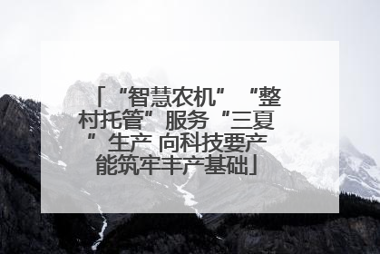 “智慧农机”“整村托管”服务“三夏”生产 向科技要产能筑牢丰产基础