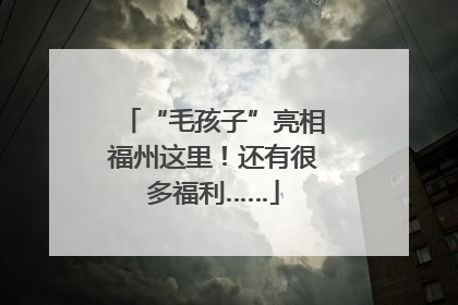 “毛孩子”亮相福州这里！还有很多福利……