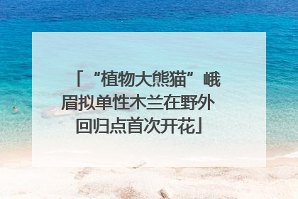 “植物大熊猫”峨眉拟单性木兰在野外回归点首次开花