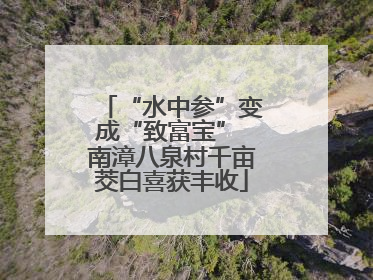 “水中参”变成“致富宝” 南漳八泉村千亩茭白喜获丰收