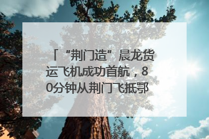“荆门造”晨龙货运飞机成功首航，80分钟从荆门飞抵鄂州花湖机场