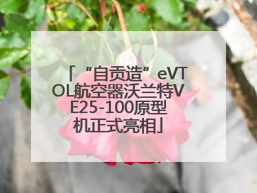 “自贡造”eVTOL航空器沃兰特VE25-100原型机正式亮相