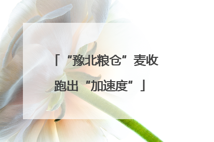 “豫北粮仓”麦收跑出“加速度”